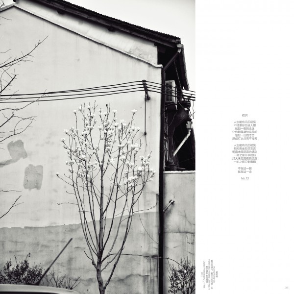 Stream-Song-Album-P14