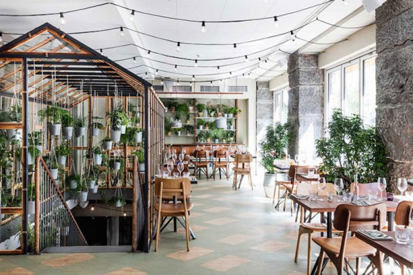 vakst-restaurant-in-copenhagen-is-green-oasis-4-800x534