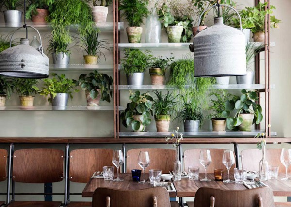 vakst-restaurant-in-copenhagen-is-green-oasis-7-800x571