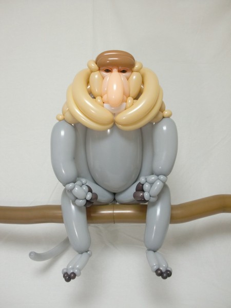 Masayoshi_proboscis-monkey