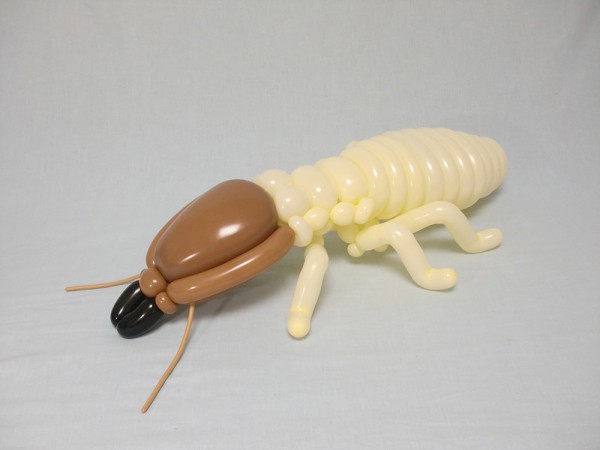 Masayoshi_termite