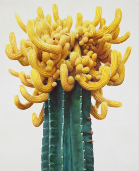 cactus-1